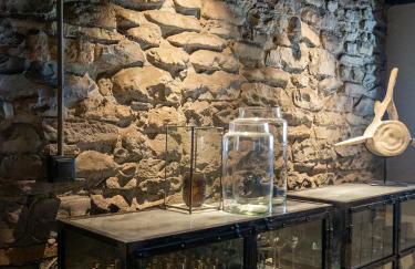 Casa Rural Aracanciás - Photo 29