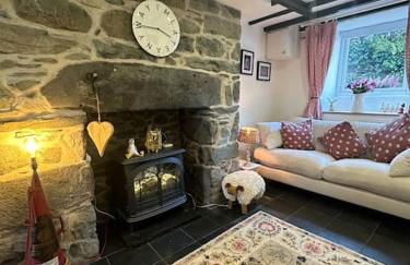 Love Lane Cottage Dolgellau - Foto 3