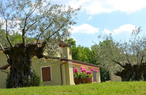 Valle Rosa - Photo 48