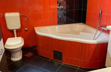 Apartman Šegetin - Foto 22