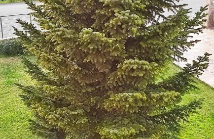 Studio Giannis, a breath away from Athens! - Foto 60