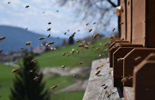 Tötscherhof - Foto 23