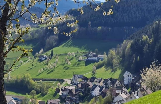 Ferienwohnung, Bad Peterstal - Foto 36