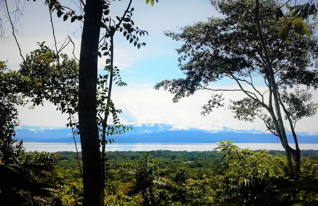 Corcovado Private Villas - Foto 76