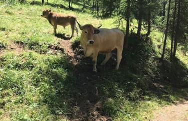 Les Orres Appartement dans le hameau du Mélezet - Foto 8