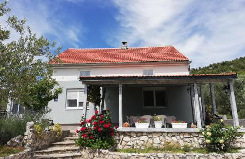 Apartmani Goga - Foto 19