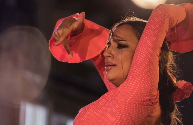 Jardines de Zoraya Flamenco Tablao - Photo 1