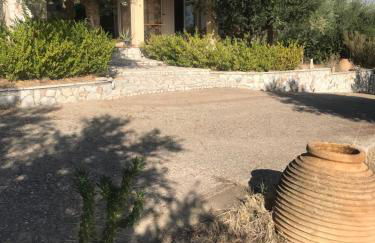 Mountain House near Pyrgos Ilias - Photo 5