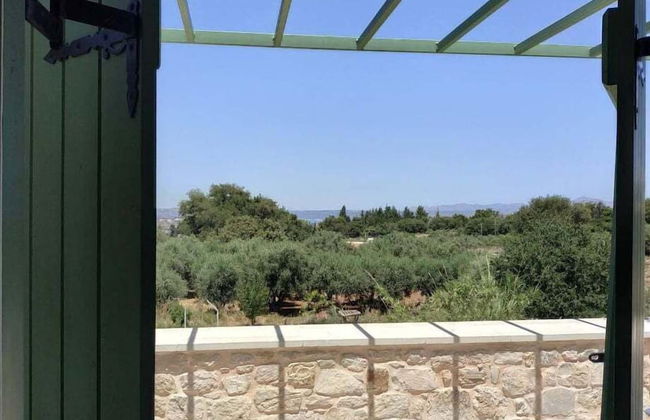 Vamos Fabrica Farm - Foto 49