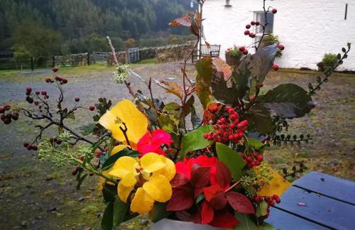 4 Bed in Moffat oc-82374 - Foto 27