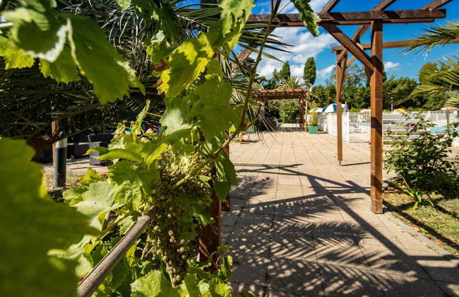 VVF Sigean Port-la-Nouvelle Corbières - Foto 36