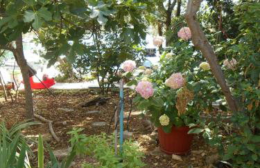 Apartment Marija - Foto 38