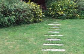 Agroturystyka Siedlisko pod dębami - Foto 16