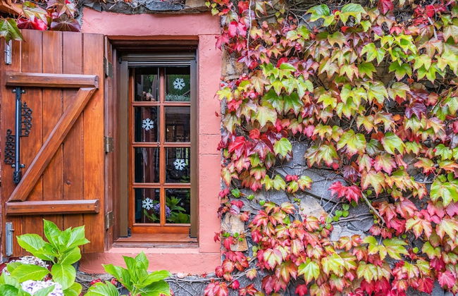 Villa Achada da Mouca by Madeira Sun Travel - Foto 28