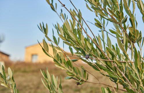 Agriturismo Prato del Re - Photo 74