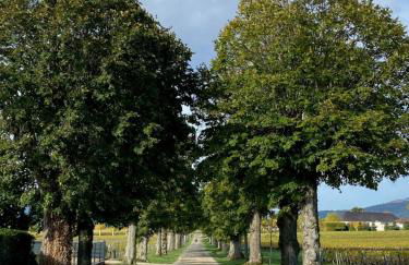 Domaine de la Noiseraie - Foto 5