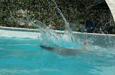 Dante alighieri rooms - Foto 1