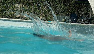 Dante alighieri rooms - Foto 1