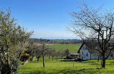 Zweistöckiges Natur-Holzhaus mit Berg- & Seesicht - Foto 21