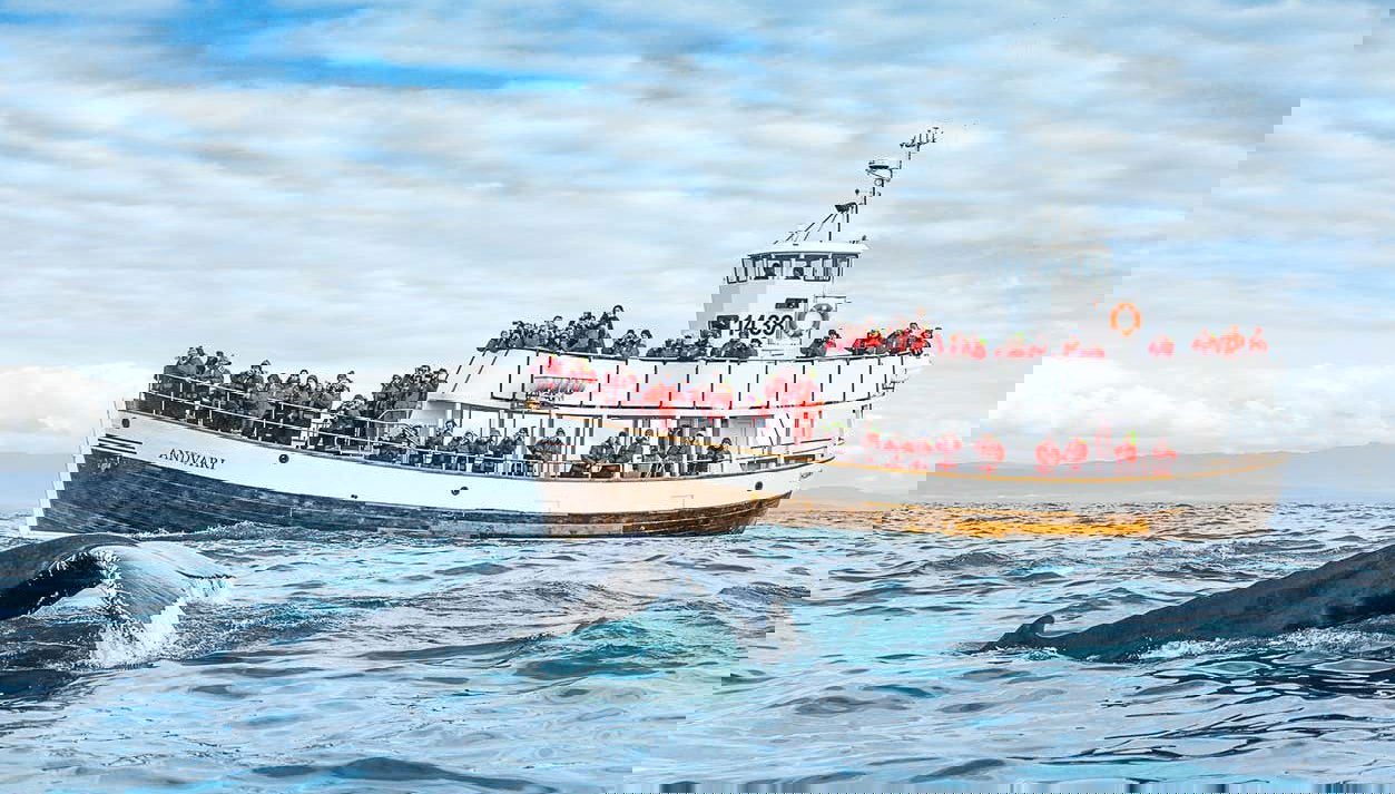 Tour in Bei Du Xin Di Qu - Foto 1