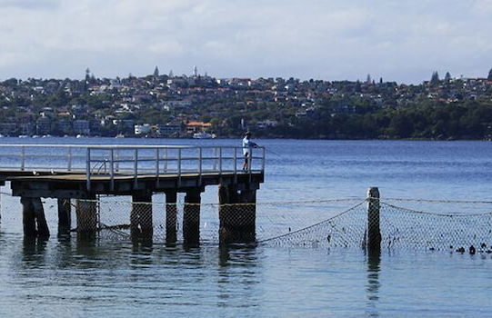 Ballantyne at Mosman Serviced Apartment - Foto 47