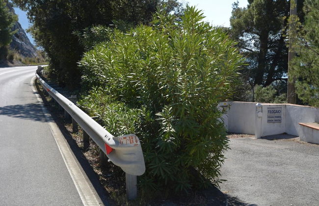 Villa Maratea - Villa Maratea - Foto 33