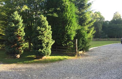 Ridgewood Apartment - Foto 23