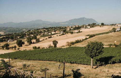 Agriturismo Torre Gialluise - Foto 38