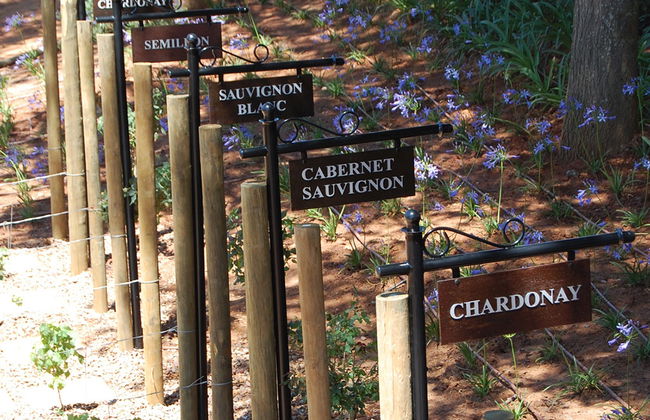 Stellenbosch Winelands - Tour de medio día - Foto 6