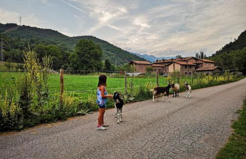 Casa rural Quintana - Montanuy - Photo 11