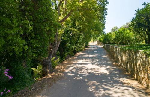 Villa Emily in Countryside - Photo 119