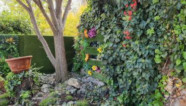 Le Garlaban 2 - Foto 4, Garden