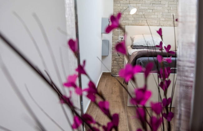 Apartment Velvet - Photo 5