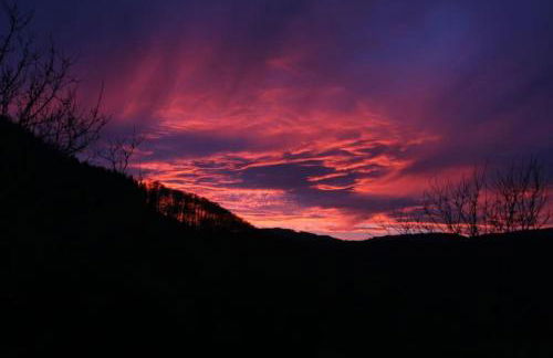 Ferienwohnung Hirschkopf - Foto 16
