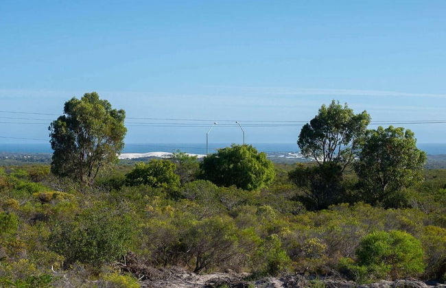 The Lookout - Foto 37