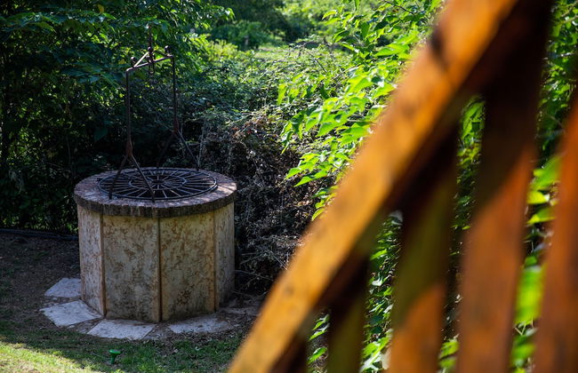 Agriturismo Ca' Vecia - Photo 60