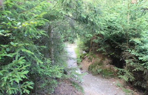 Ferienhaus Däschinger - Foto 72