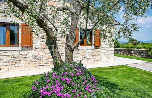 Villa Oliveta - Foto 26