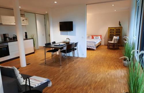 Glashus-Moos Loft 2 - Foto 17