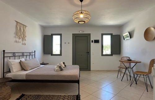 Ammos Andros Accommodation - Photo 35