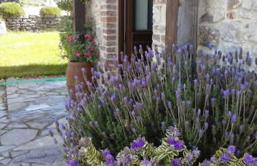 Agriturismo Valiana - Foto 72