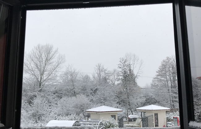 Sapanca Villa Natura Gol Evi - Foto 9