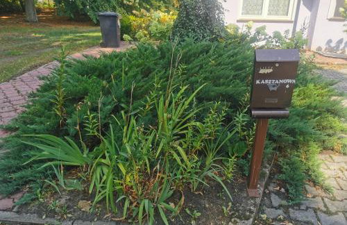 Przystań Familijna - Foto 3