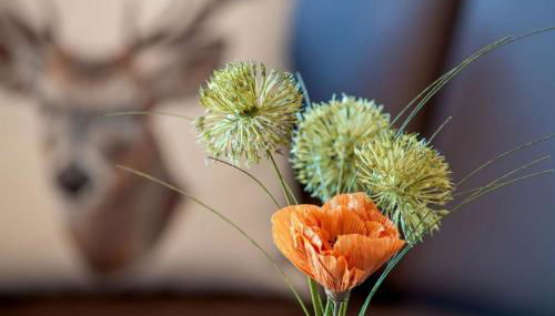 Ferienwohnung Schäferhütte - Foto 5