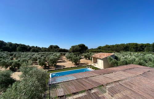 Le petit cabanon en Provence - Foto 33