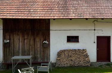 Śpimy u Dziadków - APARTAMENTY BIESZCZADY - Foto 36