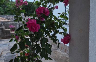 Kuća za odmor Neva - Foto 21