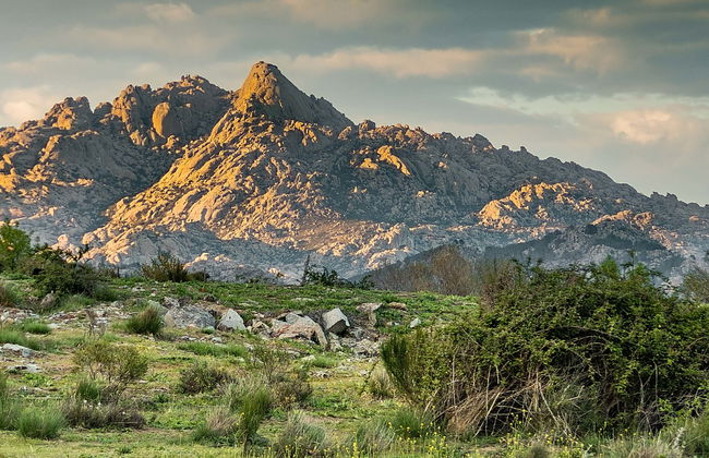 Sierra de Guadarrama National Park Day Trip - Photo 1