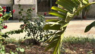 Roma centro little house of testaccio - Foto 2