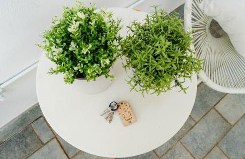 Forte 27 centro - Foto 34